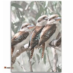 Australia Kookaburra Area Rug - Kookaburra Artwork Area Rug