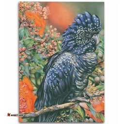 Australia Black Cockatoo  Area Rug - Black Cockatoo and Flowering Gum Area Rug