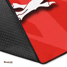 St. George Illawarra Dragons Area Rug