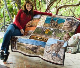 premium quilts kangaroo coverlets so cute