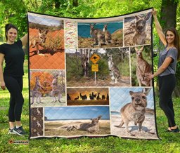 premium quilts kangaroo coverlets so cute