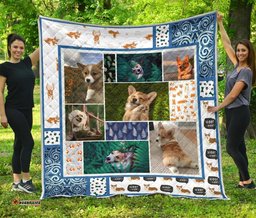 corgi dog with fern quilt