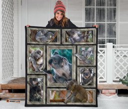 premium quilt 3d koala frames quilt