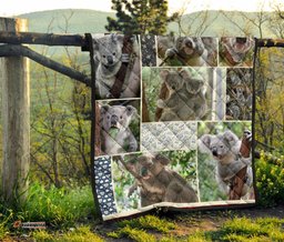 premium quilts koala coverlets so cute