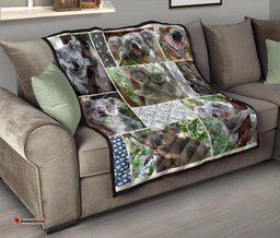 premium quilts koala coverlets so cute