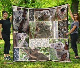 premium quilts koala coverlets so cute