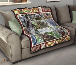 premium quilts koala coverlets aboriginal patterns