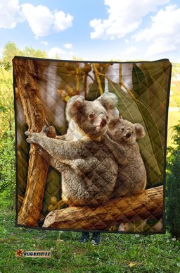 premium quilt australian koala quilt 3d koala