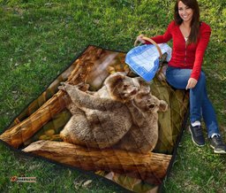 premium quilt australian koala quilt 3d koala