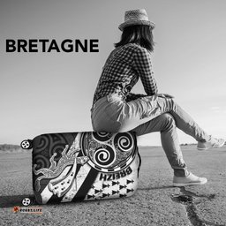 Celtic Bretagne Luggage Cover Brittany Ermine With Celtic Triskelion