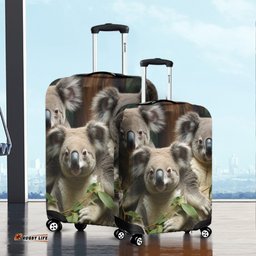 Australia Koala Three Koalas with Gum Trees Ver3 Luggage Cover
