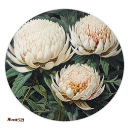 Amazing Aussie Australia Waratah White Waratah Flowers Fine Art Ver2 Round Rug