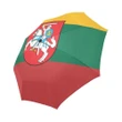 Lithuania Umbrella With Flag Nn6