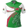 1stTheWorld Wales Polo Shirt, Wales Round Dragon Red