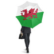 1sttheworld Umbrella - Flag of Wales Umbrella A7