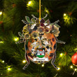 1sttheworld Ornament - Hauser German Family Crest Custom Shape Ornament - Ladybug A7 | 1sttheworld