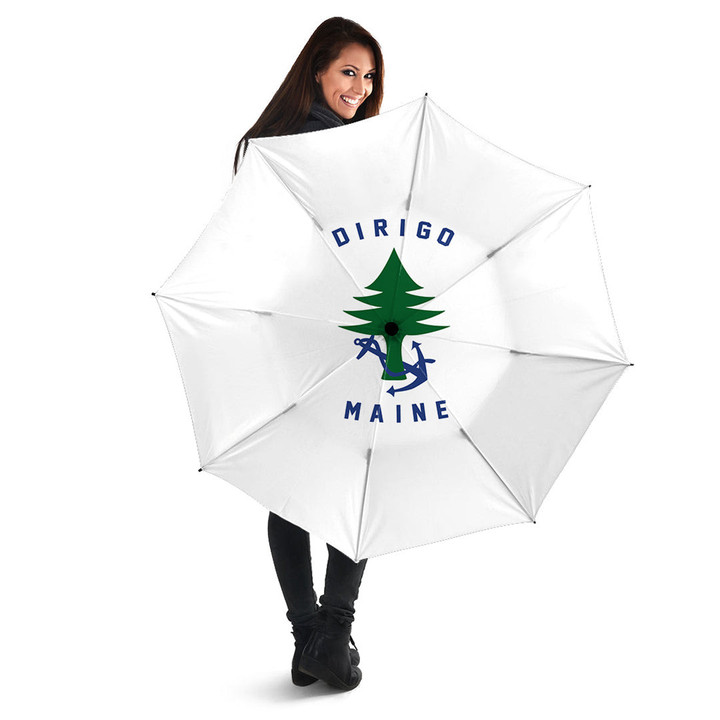 1sttheworld Umbrella - Flag of Naval Ensign Of Maine Umbrella A7 | 1sttheworld
