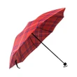 Rose Modern Tartan Umbrella TH8