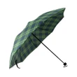 Tweedside District Tartan Umbrella TH8