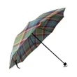 Aikenhead Crest Tartan Umbrella TH8
