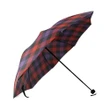 Broun Modern Crest Tartan Umbrella TH8