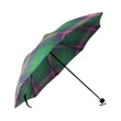 Young Modern Crest Tartan Umbrella TH8