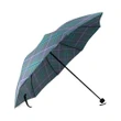 Douglas Modern Crest Tartan Umbrella TH8