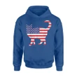 Usa Flag Cat 4th Of July Independence Day Animal Gift Hoodie