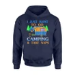 I Just Want To Go Camping Take Naps Funny Hoodie