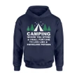 Funny Outdoor Camping Adult Inappropriate Hoodie