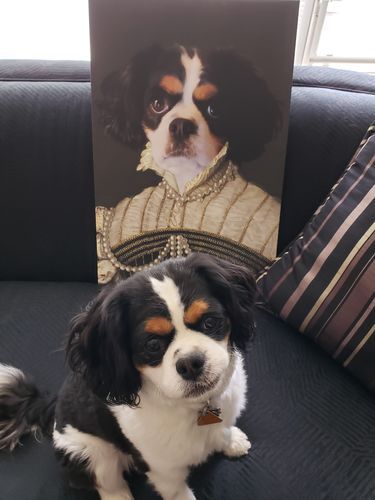 Portrait Of A Lady Royal Custom Pet Canvas