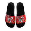 Love New Zealand Slide Sandals - St. George Illawarra Dragons New Naidoc Slide Sandals | africazone.store
