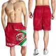 Wales Rugby Men's Shorts - Celtic Welsh Rugby Ball - BN22