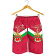 Wales National Rugby League All Over Print Men Shorts