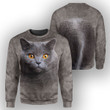 Hoodie Zip Hoodie British Shorthair Cat - 3D All Over Printed Shirt