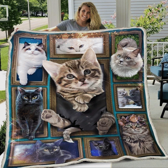 3d Huge Cat Inside Magic Frame Gift For Pets Lover Fleece Sherpa Throw Blanket