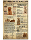 Table Has Knowledge Of  Goldendoodle Vertical Canvas Poster