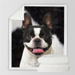 Boston Terrier Smile Blanket, Dogs Face Blanket, Best Sherpa Throw Blanket, Best Gift For Dog Lovers.