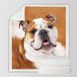 English Bulldog Blanket, Dogs Face Blanket, Best Sherpa Throw Blanket, Best Gift For Dog Lovers.