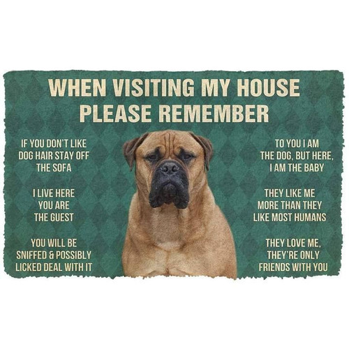 When Visitng My House Please Remember Bullmastiff Dogs House Rules Doormat Gift Christmas Home Decor