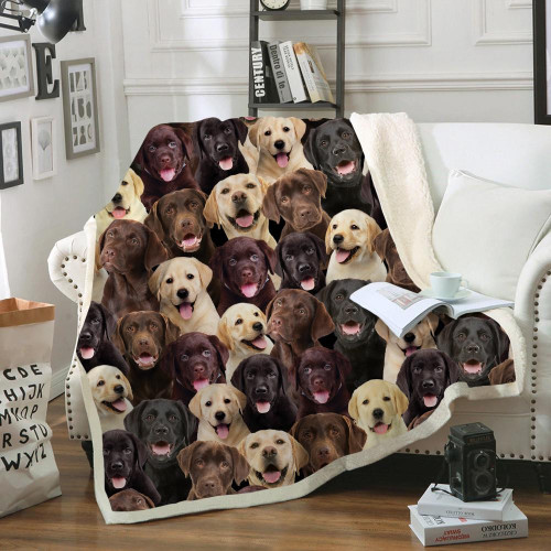 You Will Have A Bunch Of Labradors Fleece Sherpa Throw Blanket
