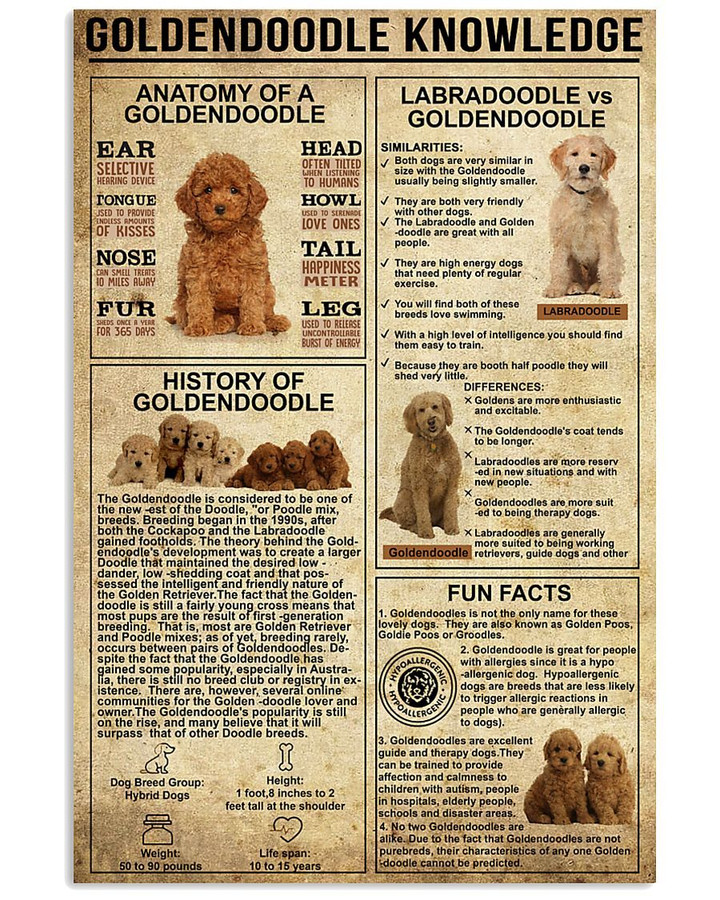 Table Has Knowledge Of  Goldendoodle Vertical Canvas Poster
