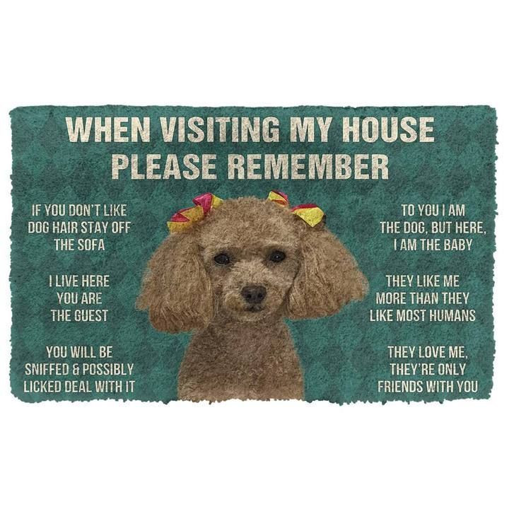 When Visitng My House Please Remember Goldendoodle Dog House Rules Doormat Gift Christmas Home Decor