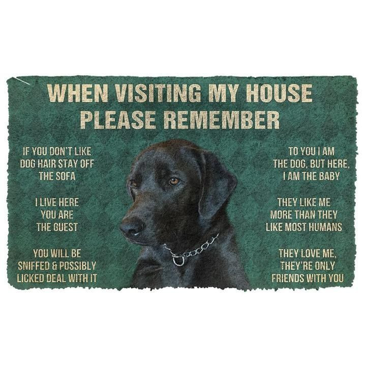 When Visiting My House Please Remember Labrador Retriever Doormat Gift Christmas Home Decor