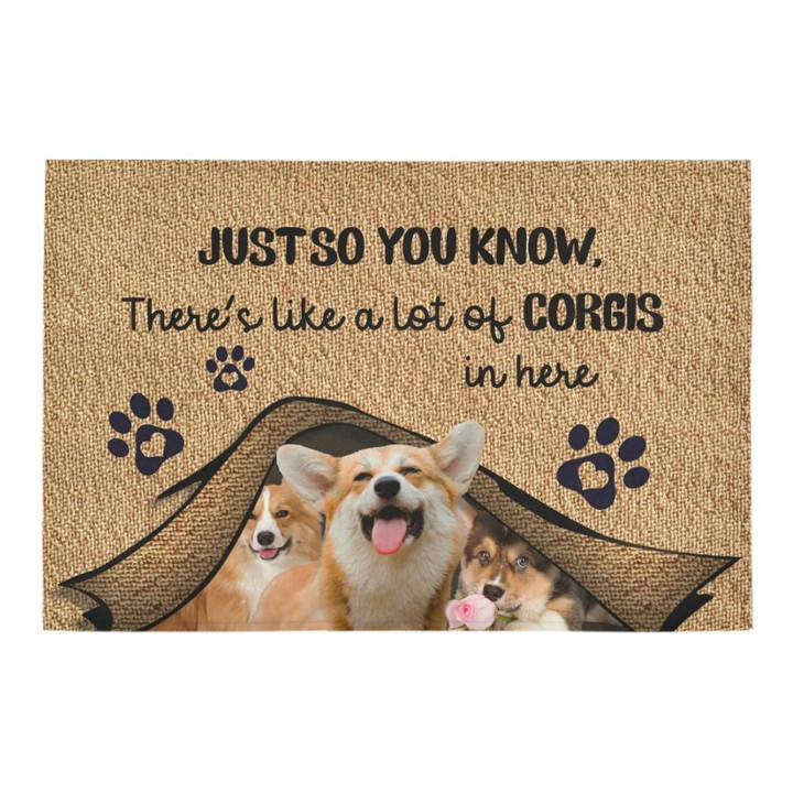 Just So You Know There's Like A Lot Of Corgis In Here Doormat Gift Christmas Home Decor