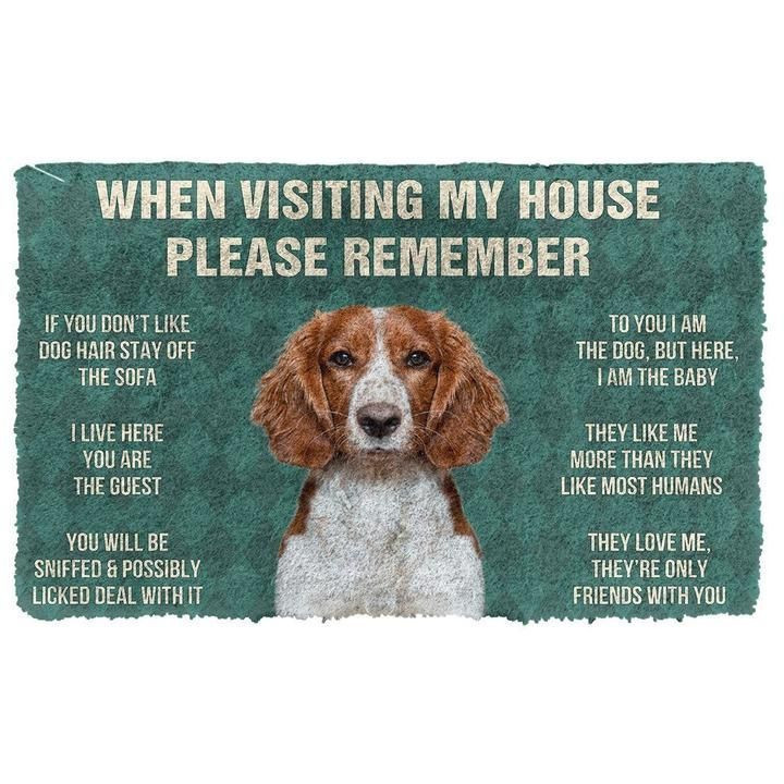 When Visitng My House Please Remember Welsh Springer Spaniel Dogs House Rules Doormat Gift Christmas Home Decor