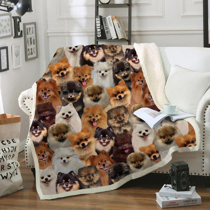 You Will Have A Bunch Of Pomeranians Fleece Sherpa Throw Blanket