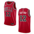 Men's Chicago Bulls #12 Daniel Gafford Icon Swingman Jersey - Red , Basketball Jersey