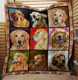 Golden Retriever Dog 3D Customized Quilt Blanket Size Single, Twin, Full, Queen, King, Super King  
