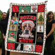 Boxer Through Snow 3D Quilt Blanket Size Single, Twin, Full, Queen, King, Super King  